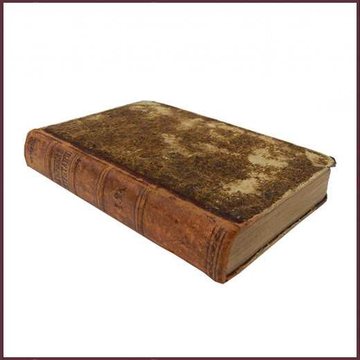 Американский пуританин, или Долина Вис-тон-вигская