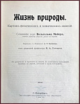Жизнь природы. Картина физических и химических явления